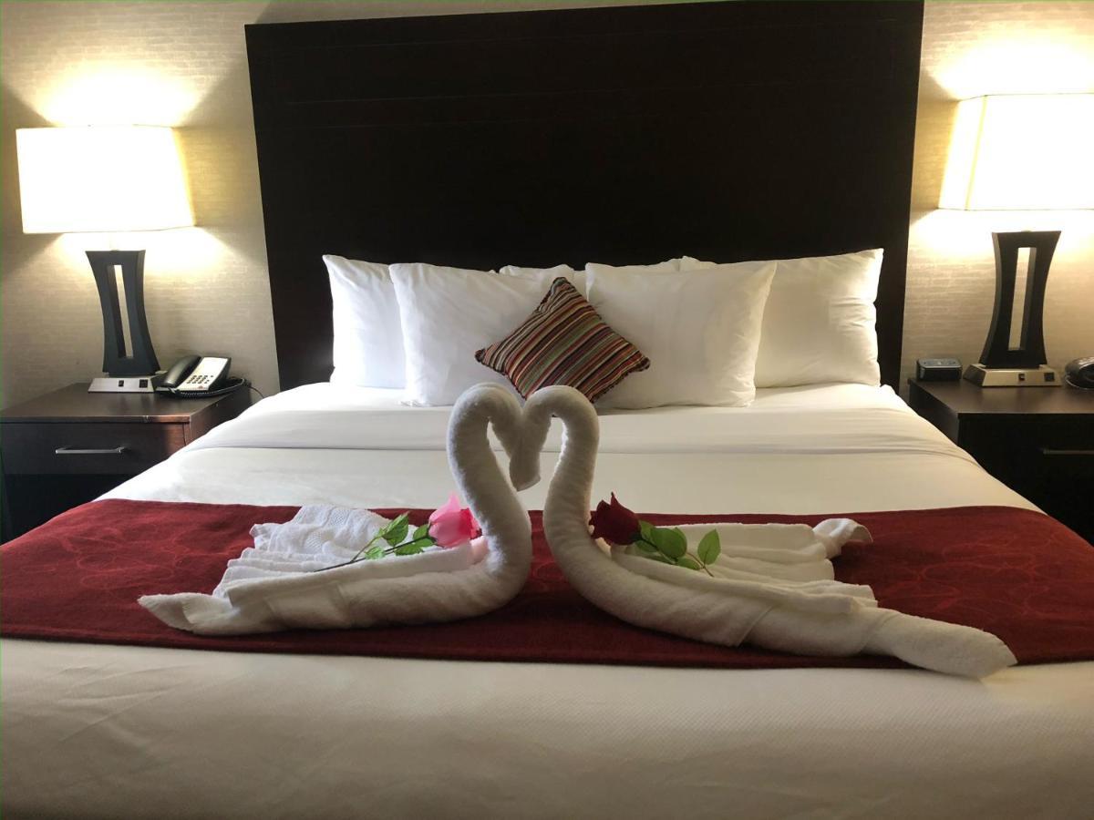 Comfort Suites Houston West At Clay Road מראה חיצוני תמונה