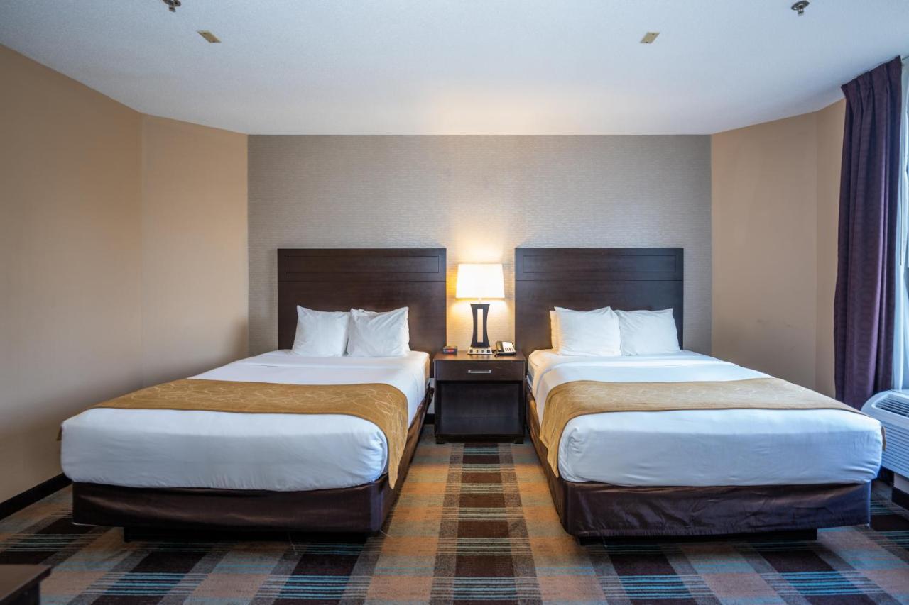 Comfort Suites Houston West At Clay Road מראה חיצוני תמונה