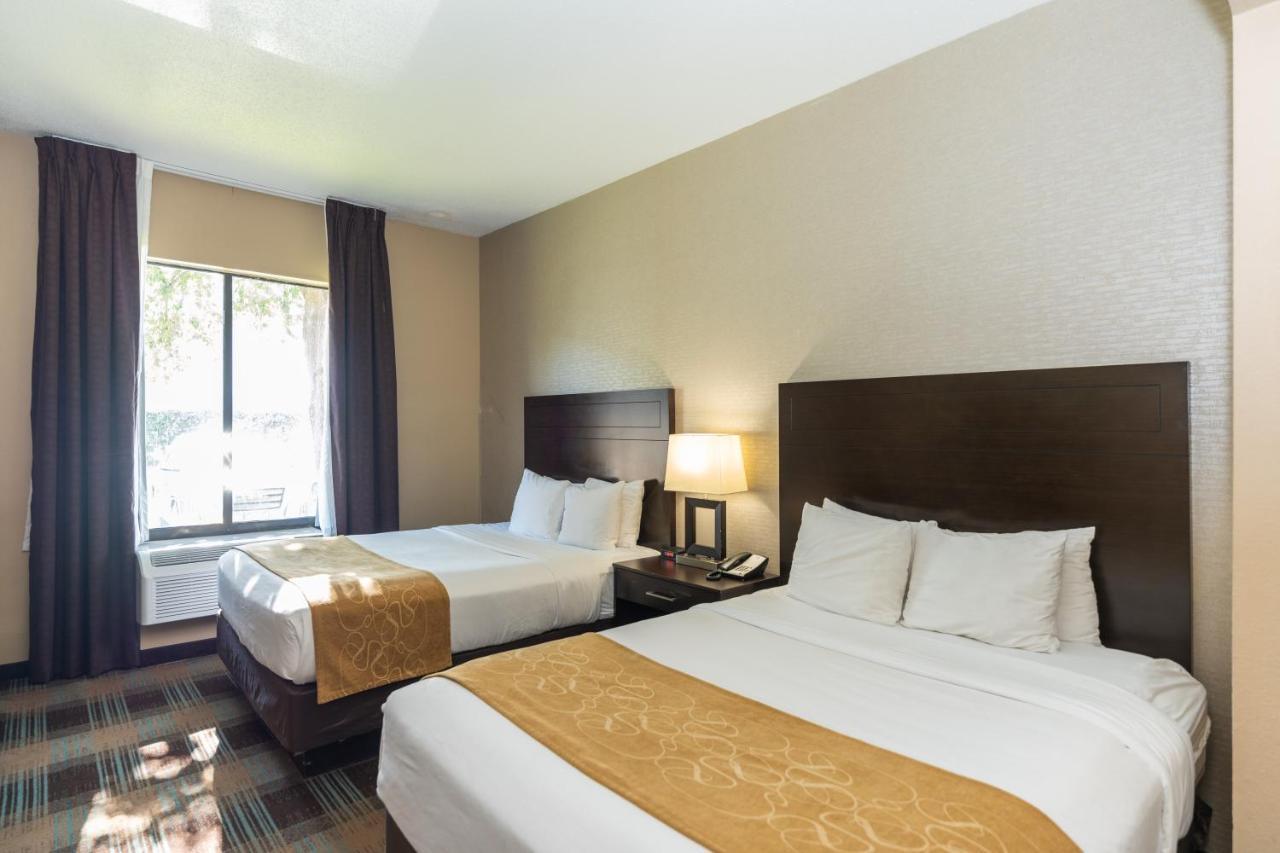 Comfort Suites Houston West At Clay Road מראה חיצוני תמונה